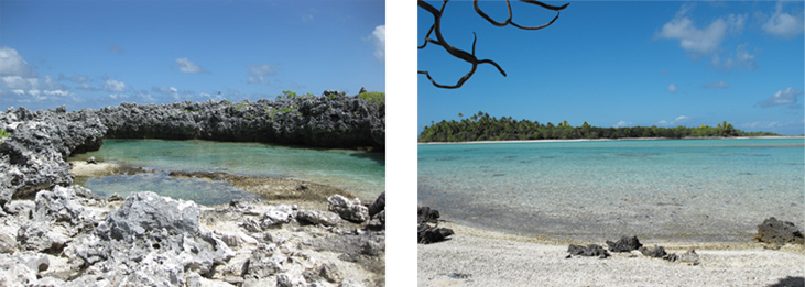 Ile aux récifs