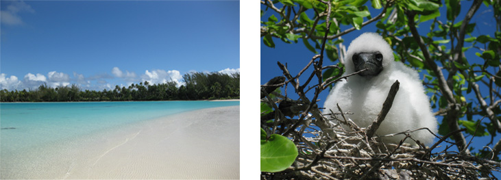 Lagon vert et île aux oiseaux